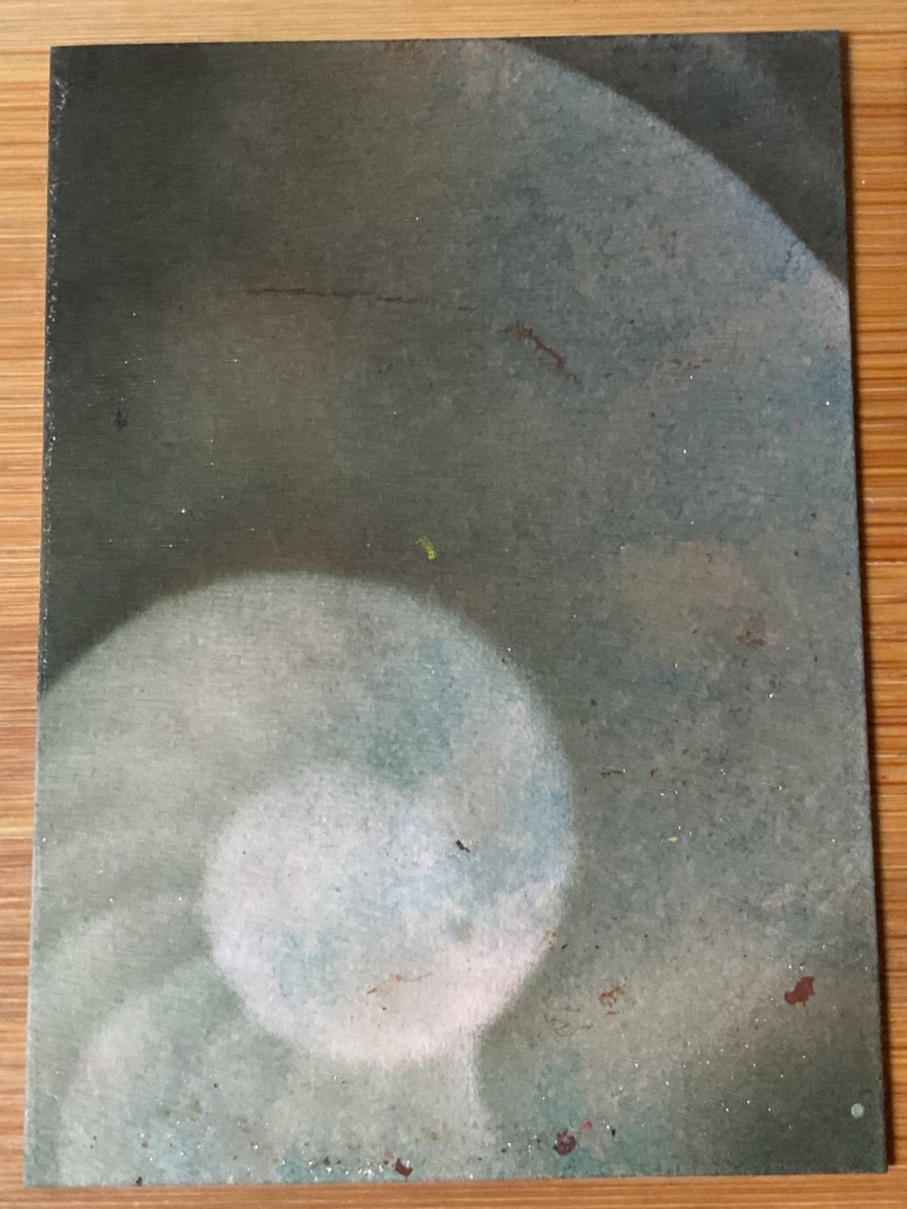 Original ACEO - Miniature Sea Shell Shell Painting - Nautilus Shell Aceo group 1